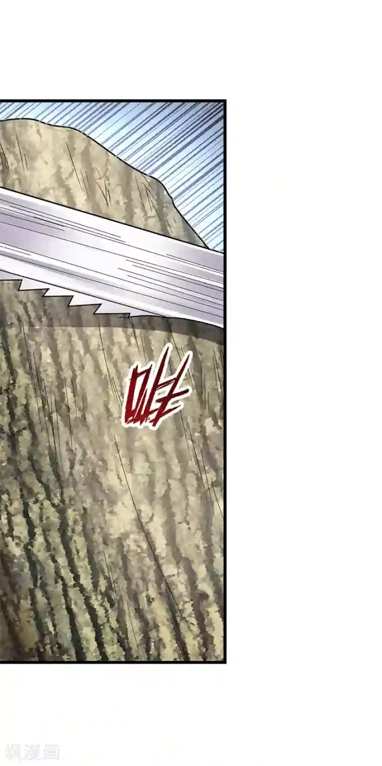 神藏第47话 赌树1