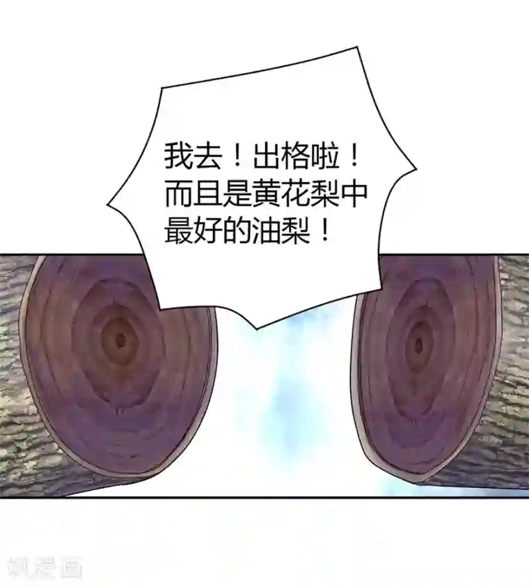 神藏第47话 赌树1