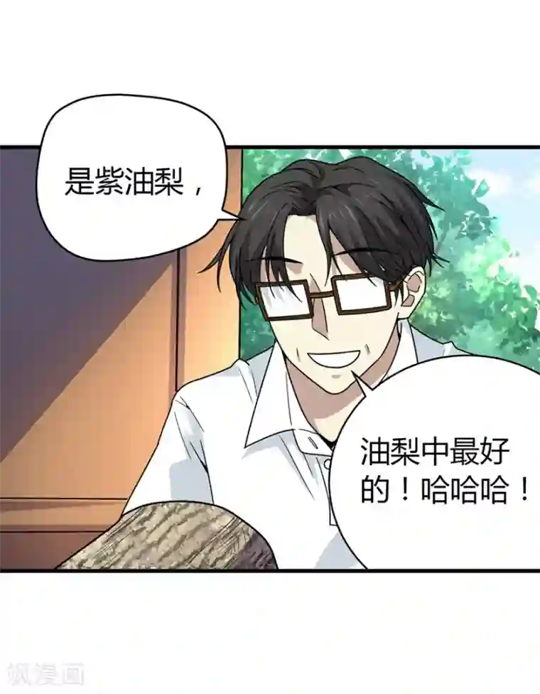 神藏第47话 赌树1