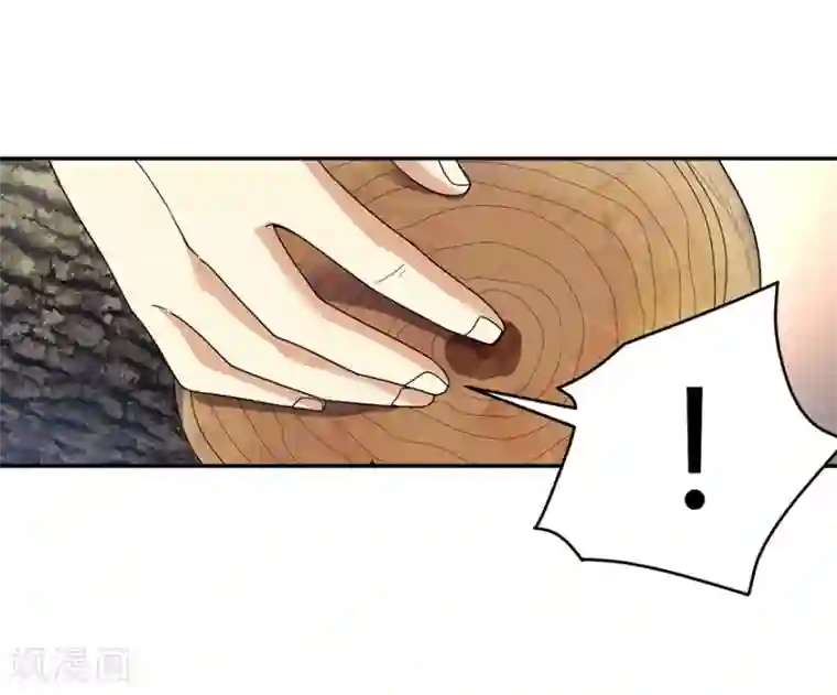 神藏第47话 赌树1