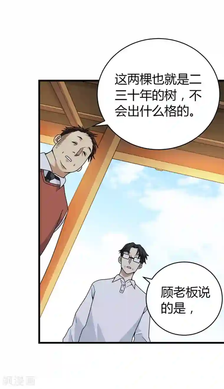 神藏第48话 赌树2