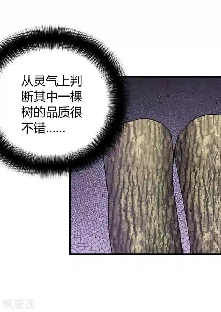 神藏第48话 赌树2