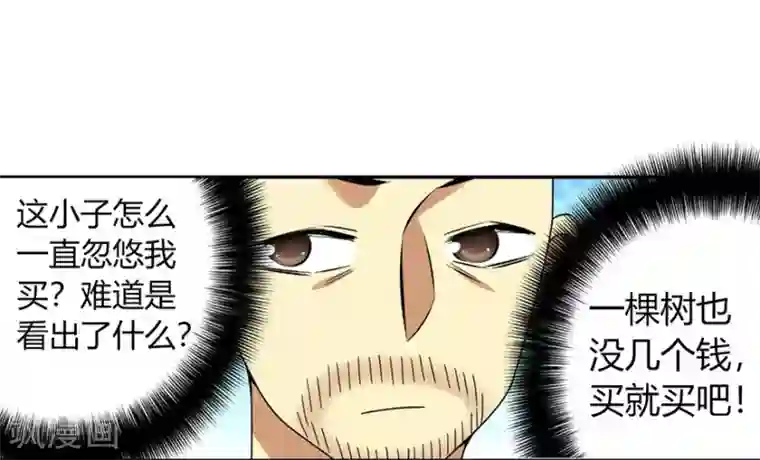 神藏第48话 赌树2