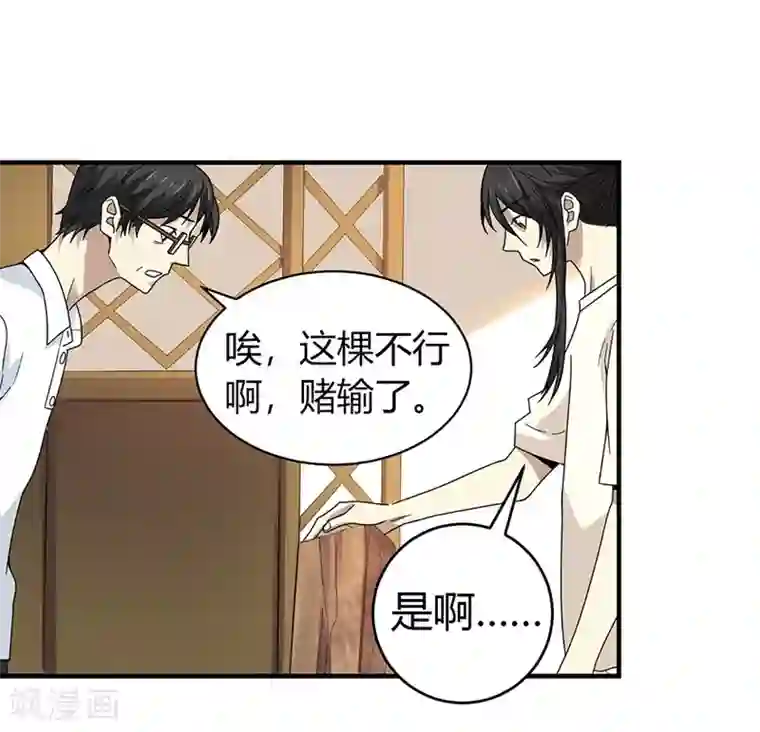 神藏第48话 赌树2