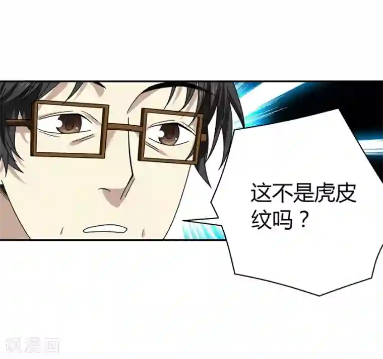 神藏第48话 赌树2