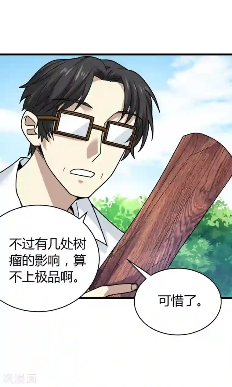 神藏第48话 赌树2