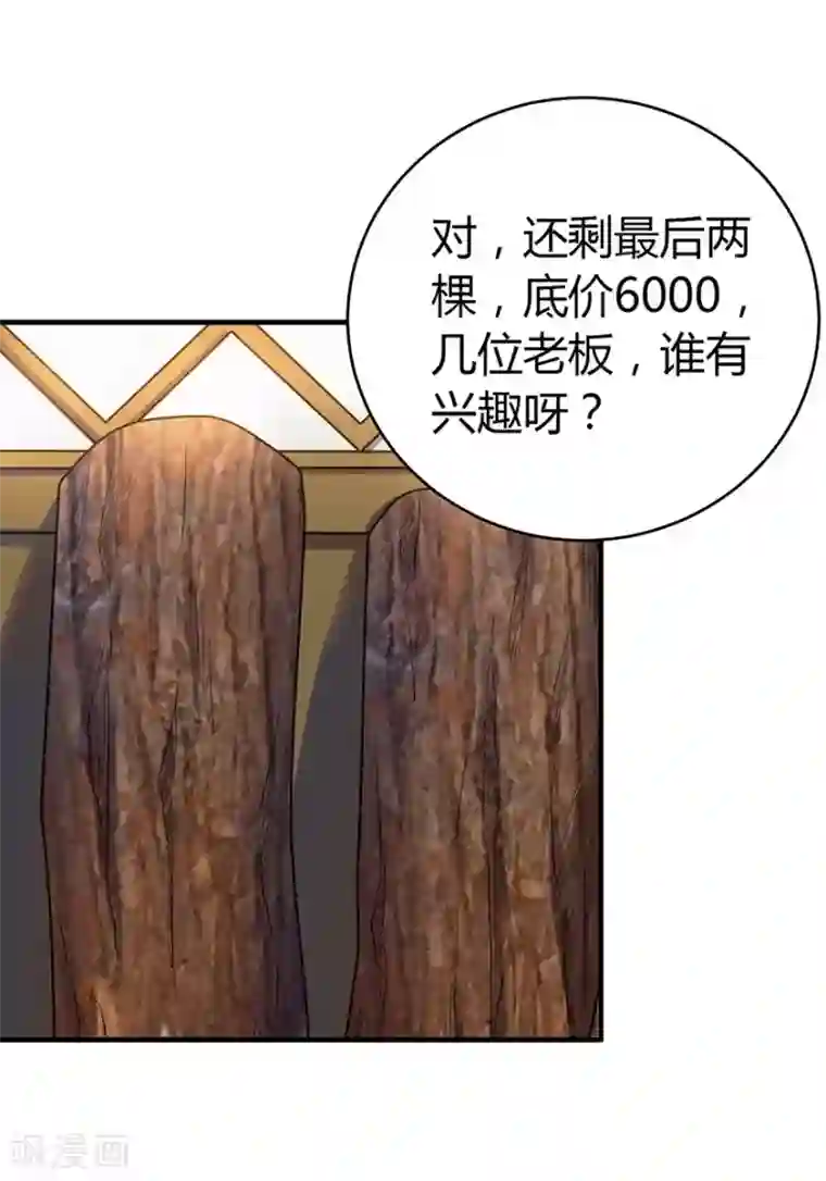 神藏第48话 赌树2