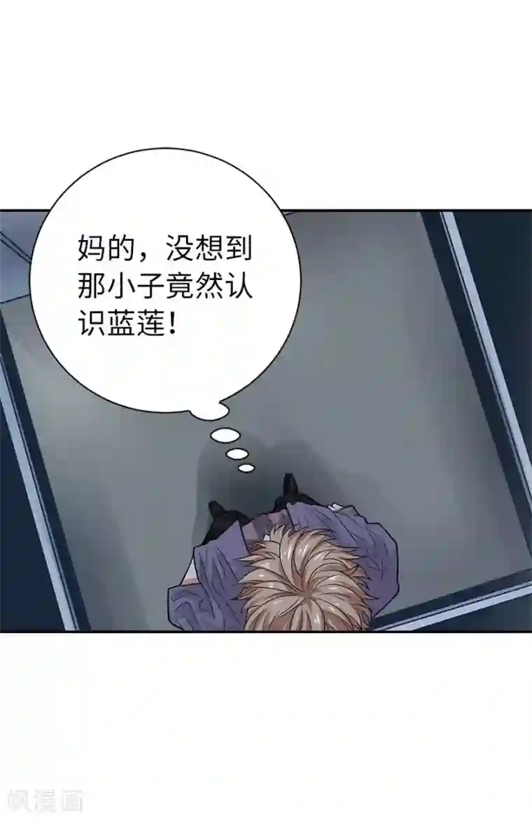 神藏第66话 霸气御姐来相助