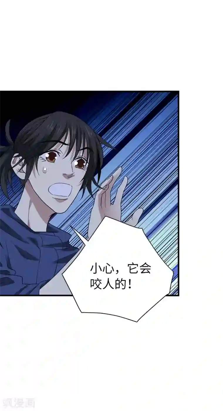 神藏第73话 方逸获萌宠