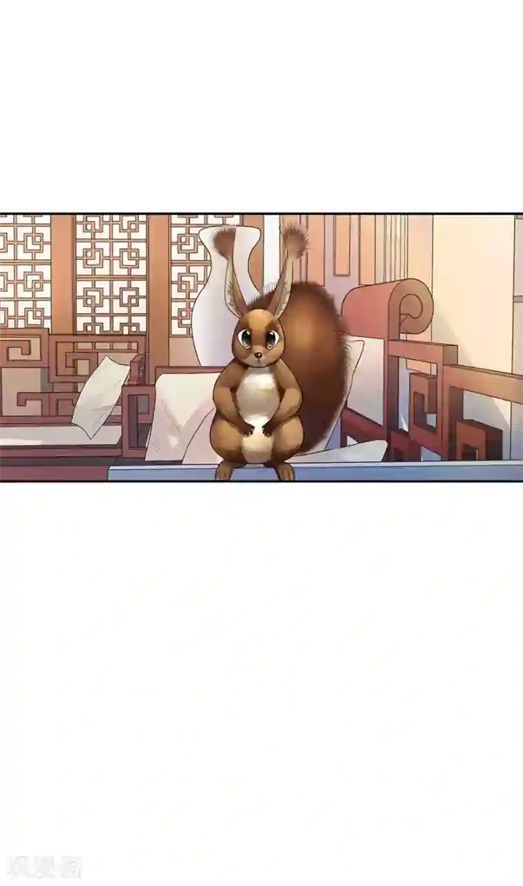 神藏第77话 这缘分还不浅呢