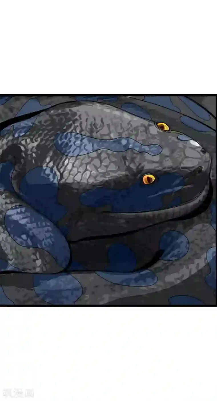 神藏第89话 大战森蚺