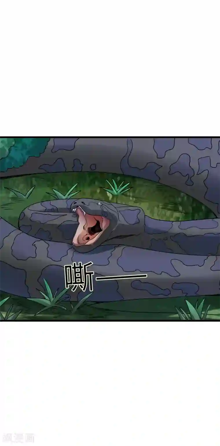 神藏第89话 大战森蚺