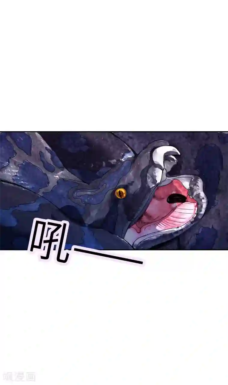 神藏第89话 大战森蚺