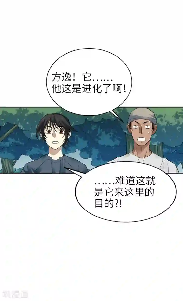 神藏第89话 大战森蚺