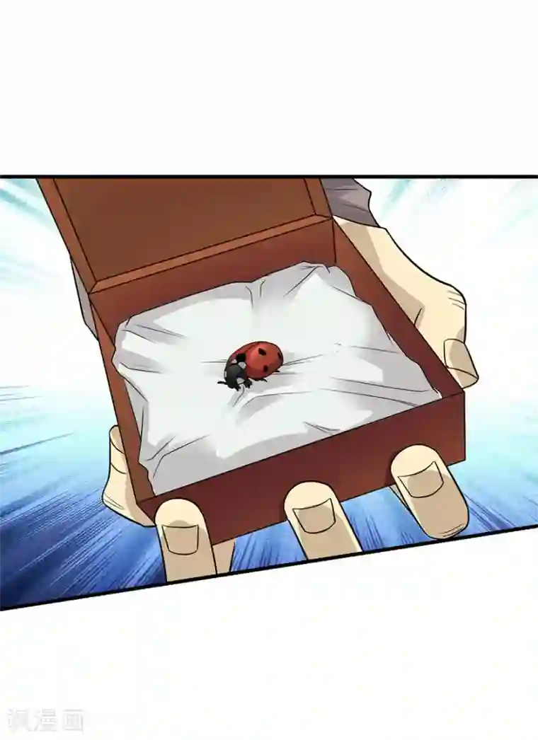 神藏第97话 金蚕蛊