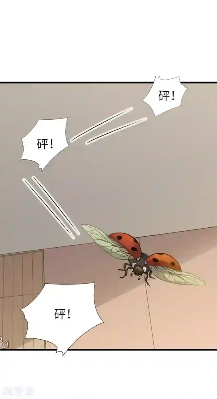 神藏第97话 金蚕蛊