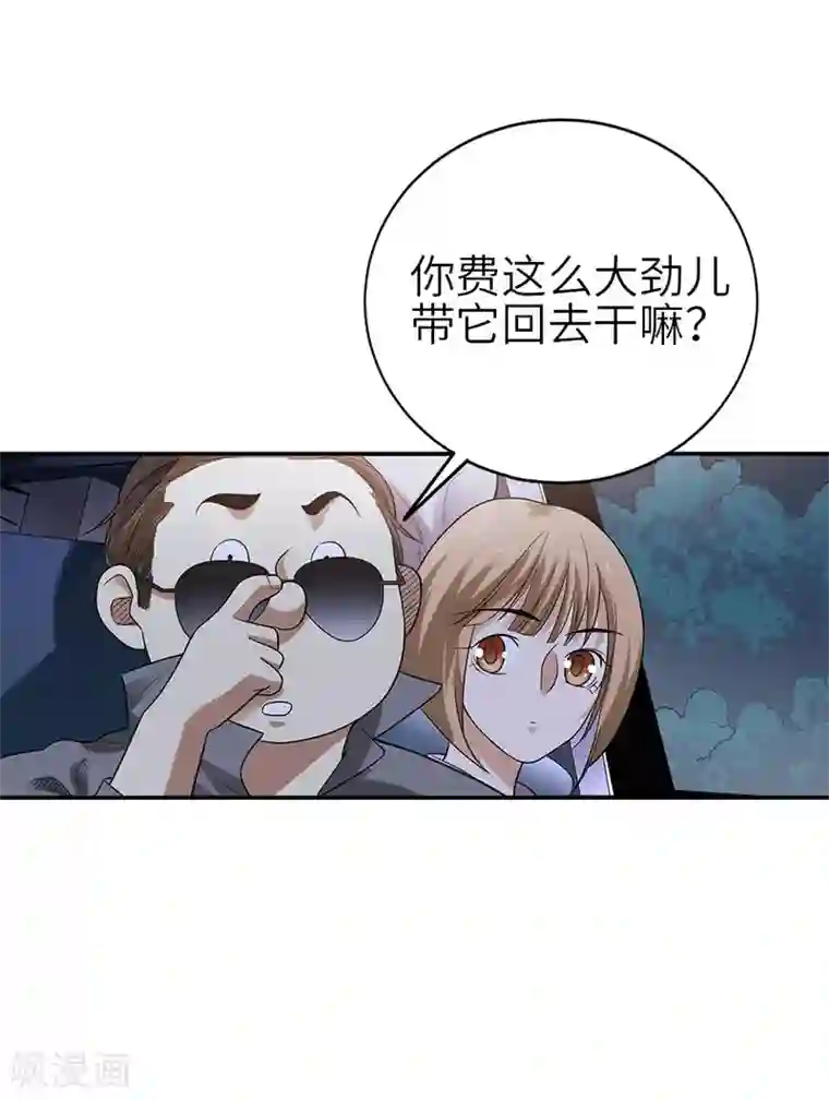 神藏第104话 胖爷要衣锦还乡