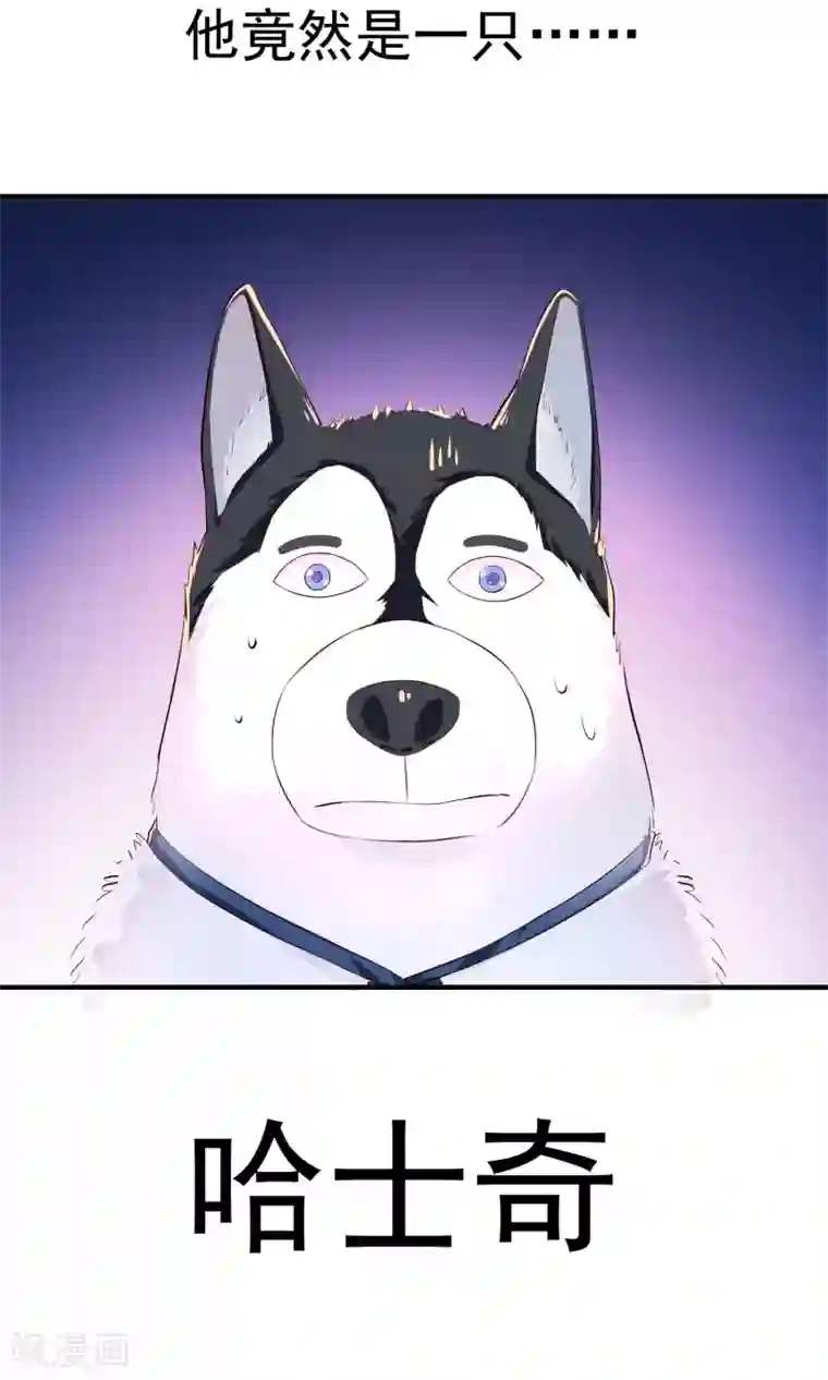 巫女的豪门生活预告