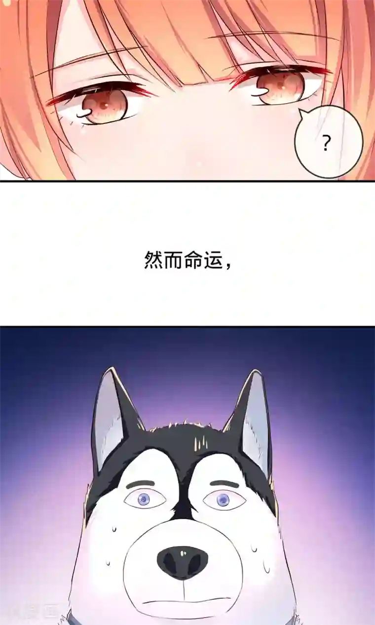 巫女的豪门生活第1话1 婚约