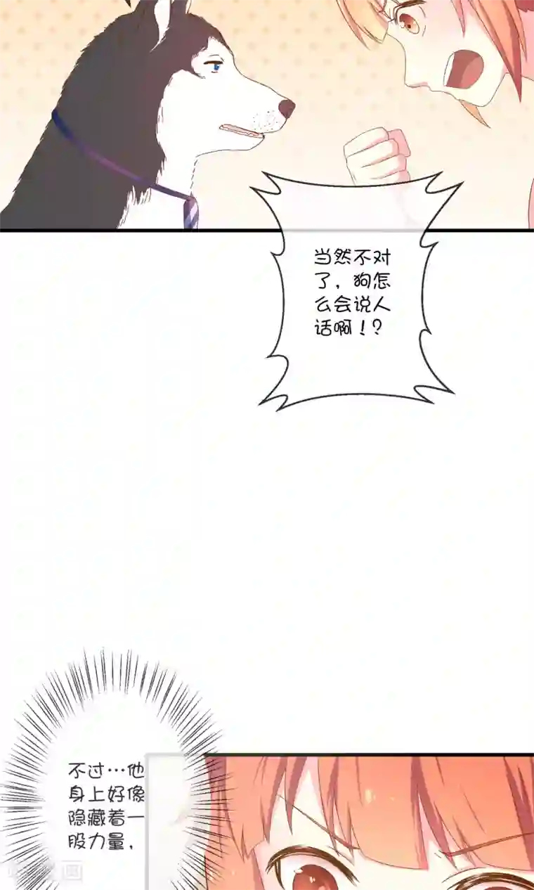 巫女的豪门生活第5话1 汪总裁