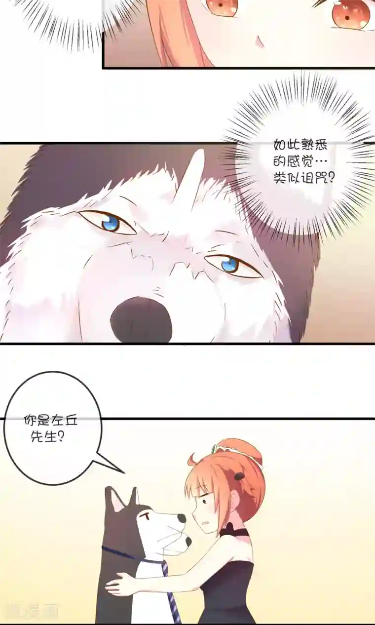 巫女的豪门生活第5话1 汪总裁