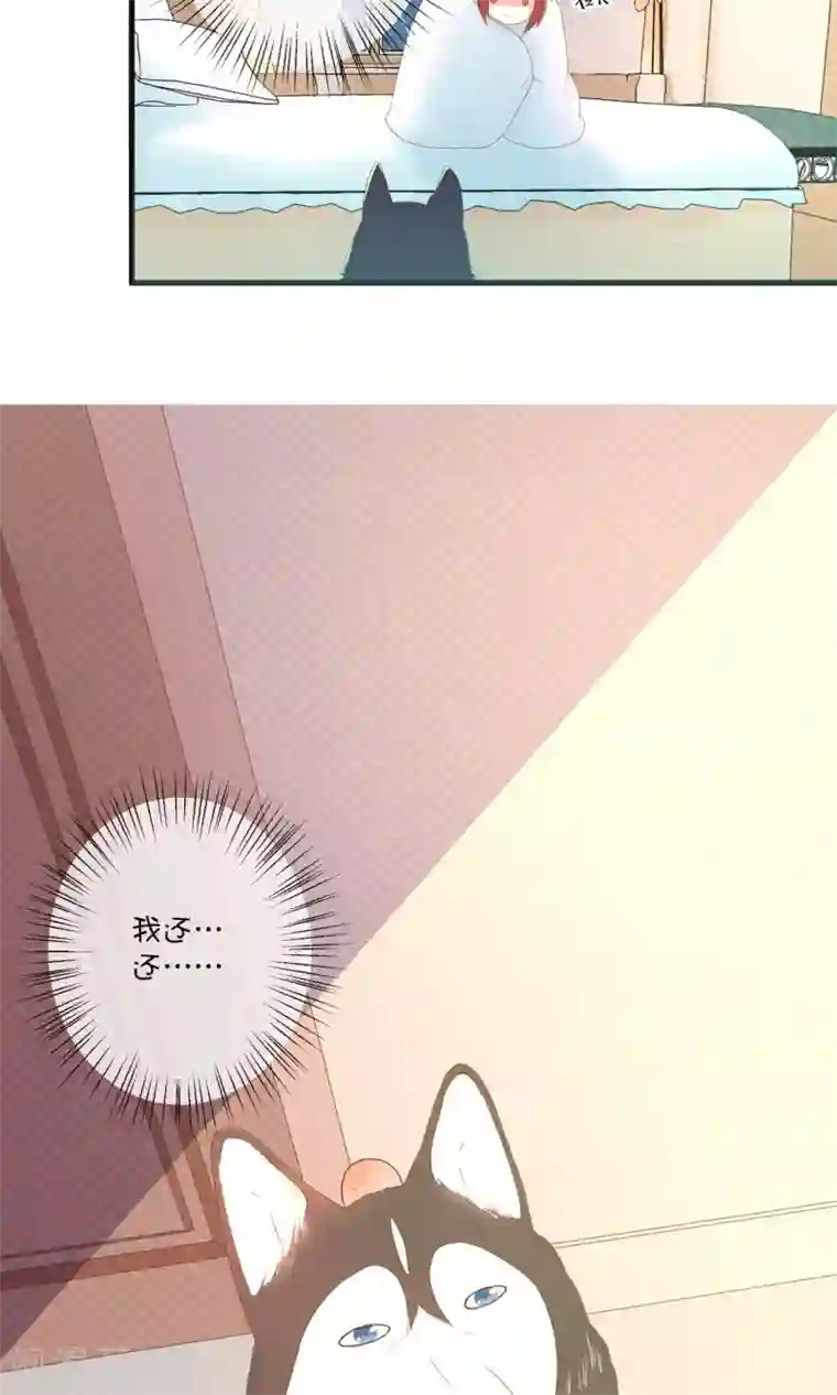 巫女的豪门生活第5话1 汪总裁