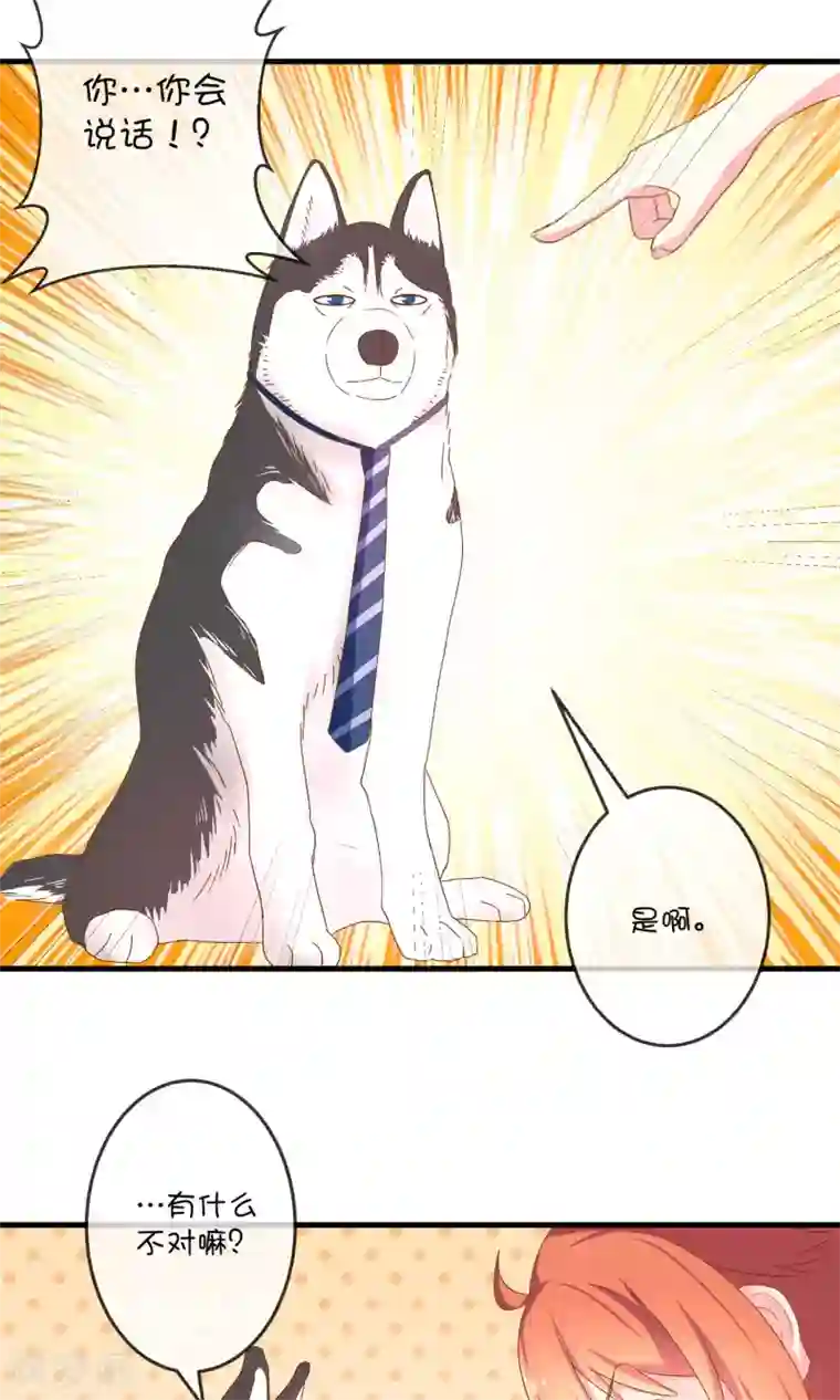 巫女的豪门生活第5话1 汪总裁