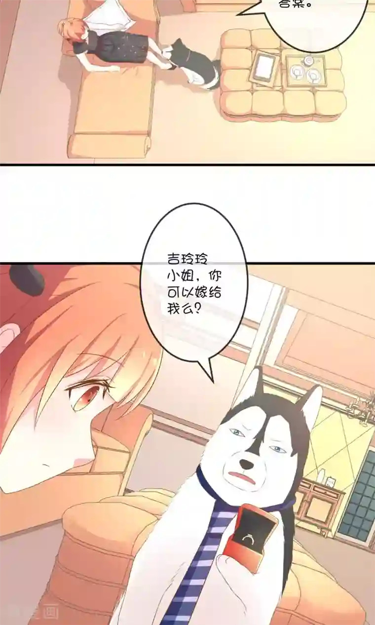 巫女的豪门生活第5话2 第二次求婚