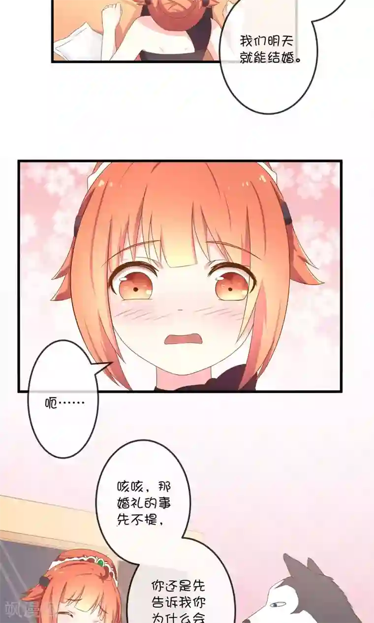 巫女的豪门生活第5话2 第二次求婚