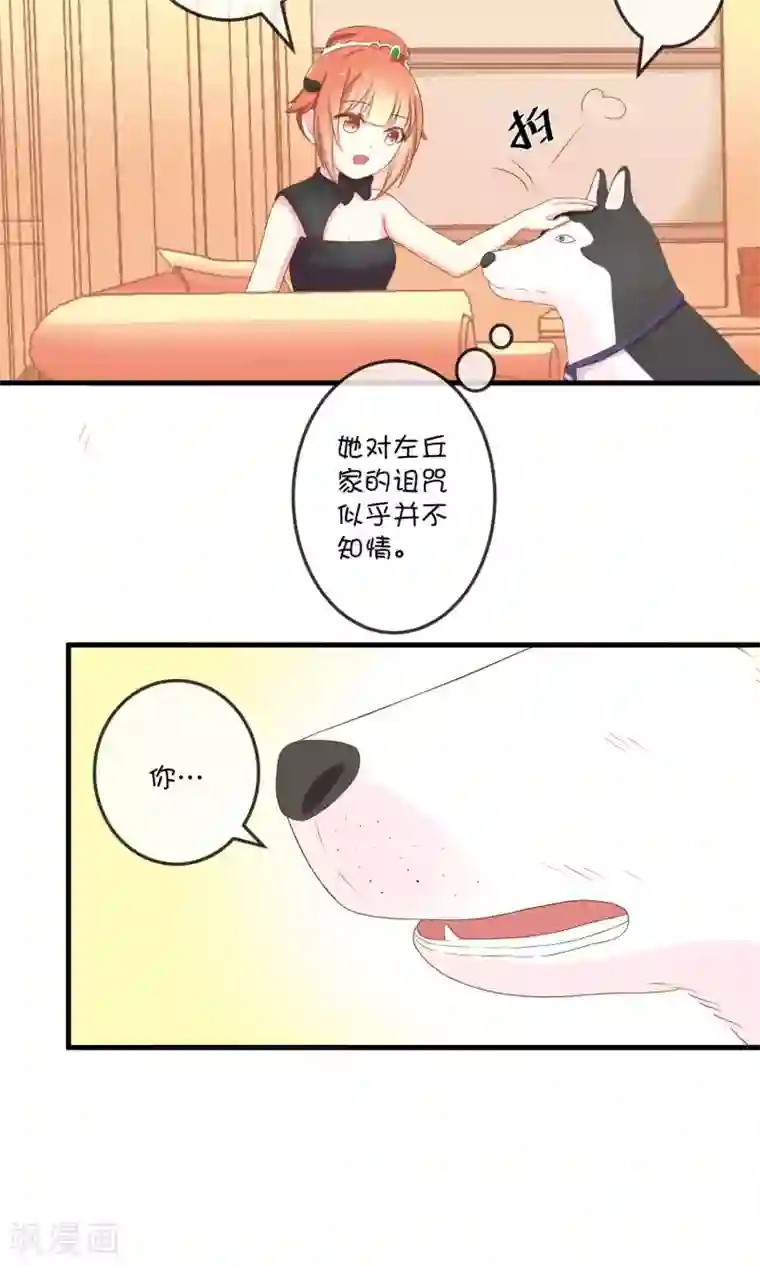 巫女的豪门生活第5话2 第二次求婚