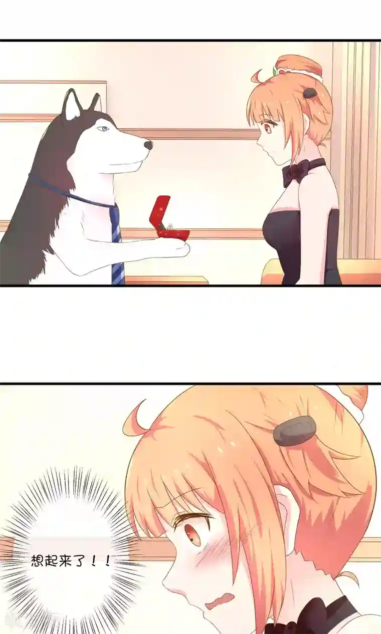 巫女的豪门生活第5话2 第二次求婚