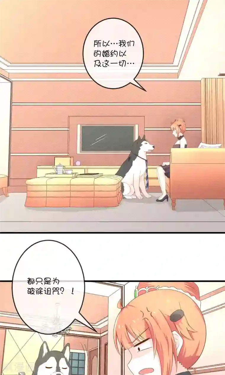 巫女的豪门生活第6话1 千年诅咒