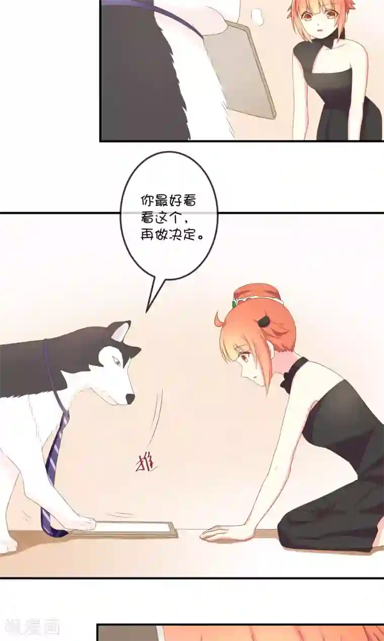 巫女的豪门生活第6话2 协议书