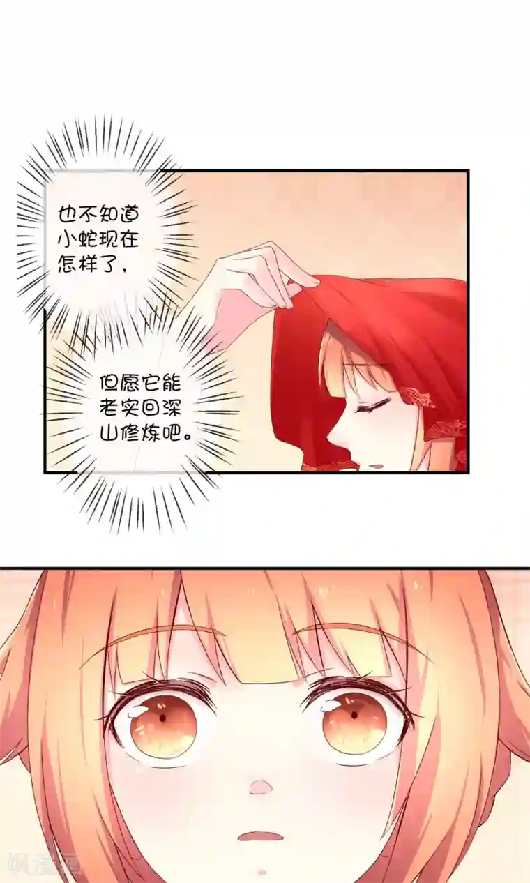 巫女的豪门生活第8话 结婚风波
