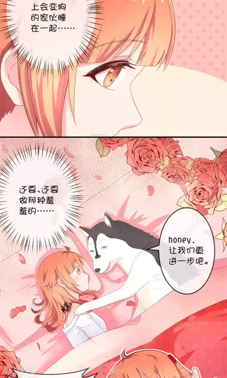 巫女的豪门生活第8话 结婚风波