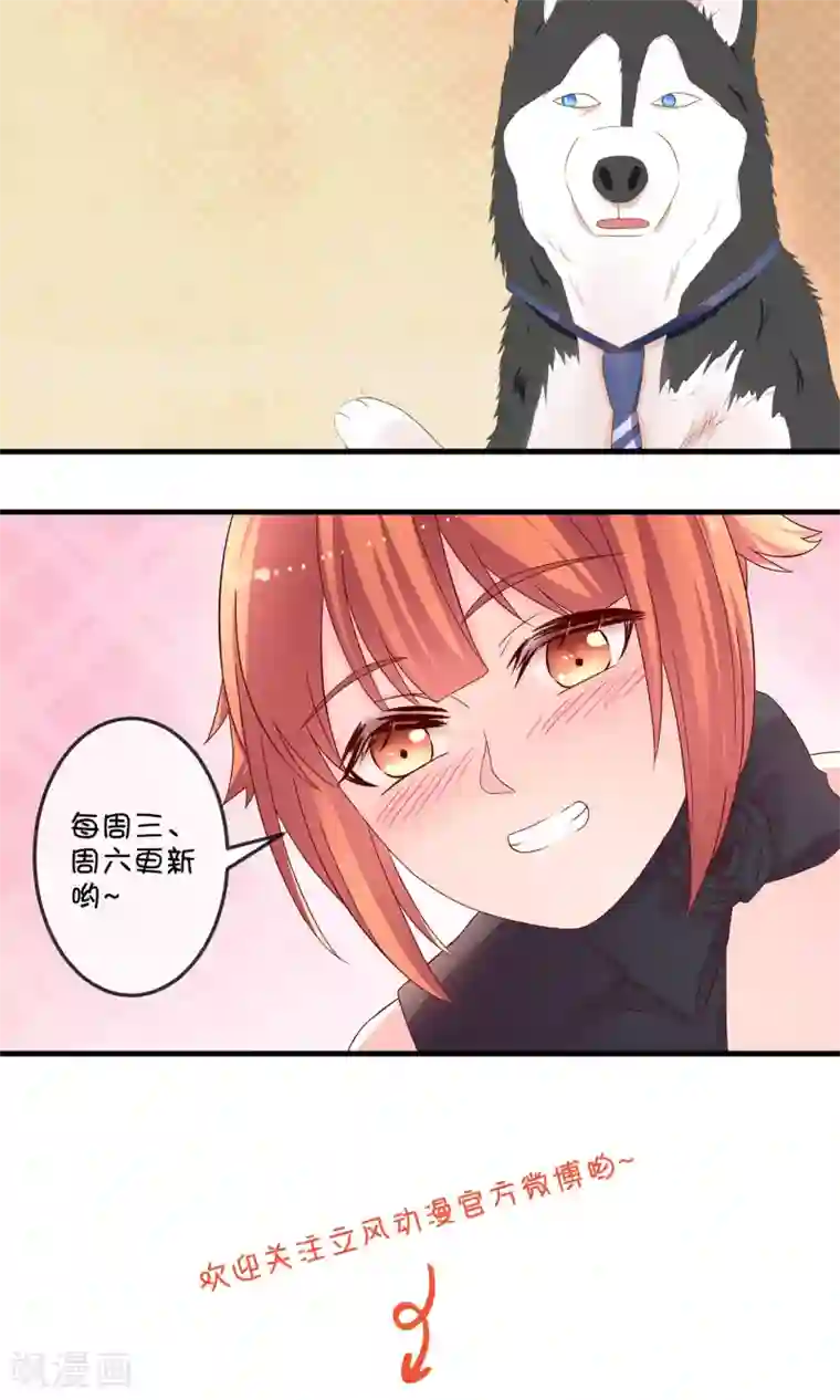 巫女的豪门生活第8话 结婚风波