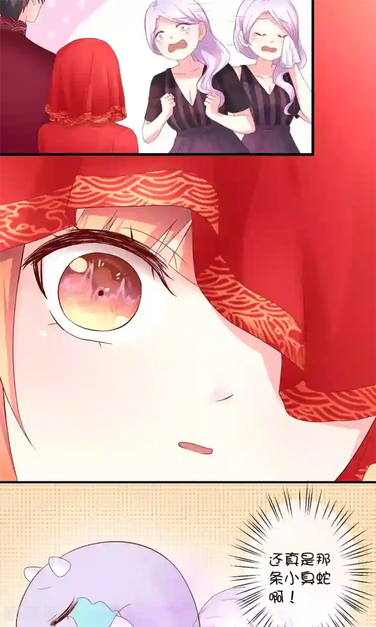 巫女的豪门生活第8话 结婚风波