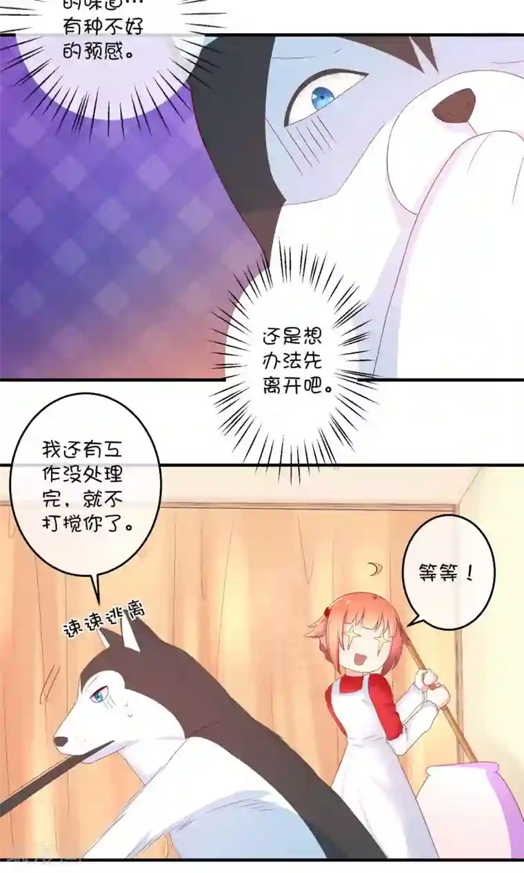 巫女的豪门生活第9话 洞房花烛夜