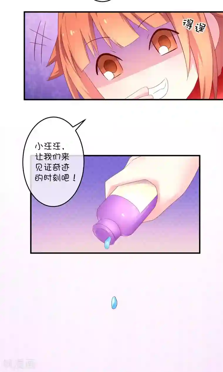巫女的豪门生活第9话 洞房花烛夜