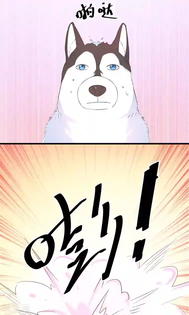 巫女的豪门生活第9话 洞房花烛夜