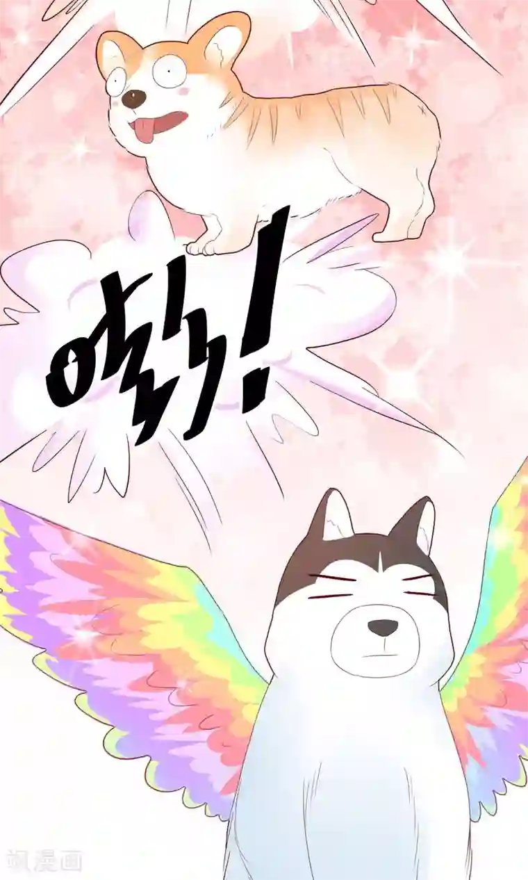 巫女的豪门生活第9话 洞房花烛夜