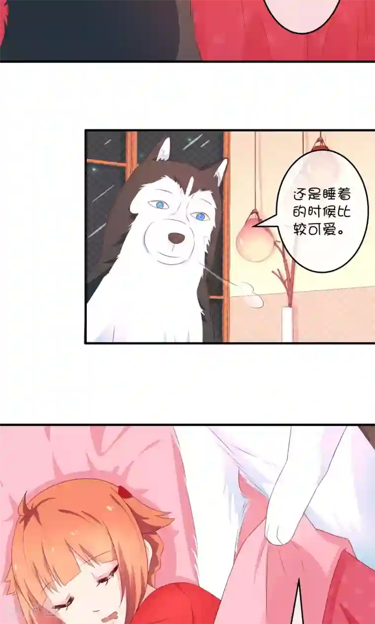 巫女的豪门生活第9话 洞房花烛夜