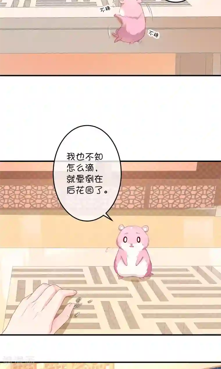 巫女的豪门生活第11话 假装恩爱