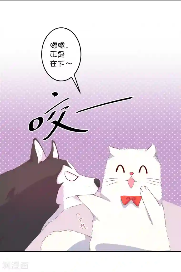 巫女的豪门生活第16话 猫狗再相逢