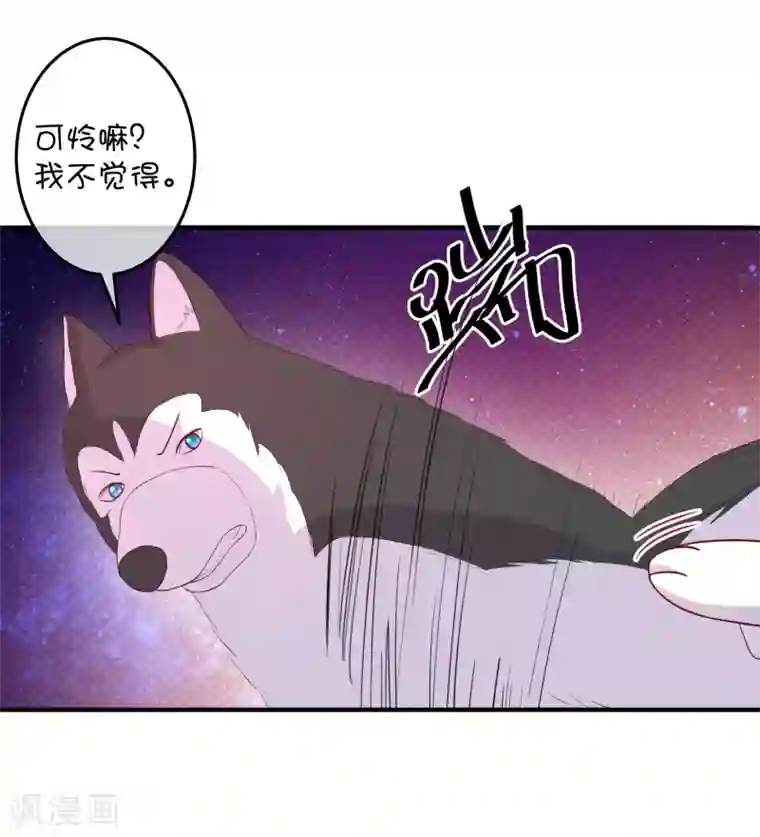巫女的豪门生活第16话 猫狗再相逢