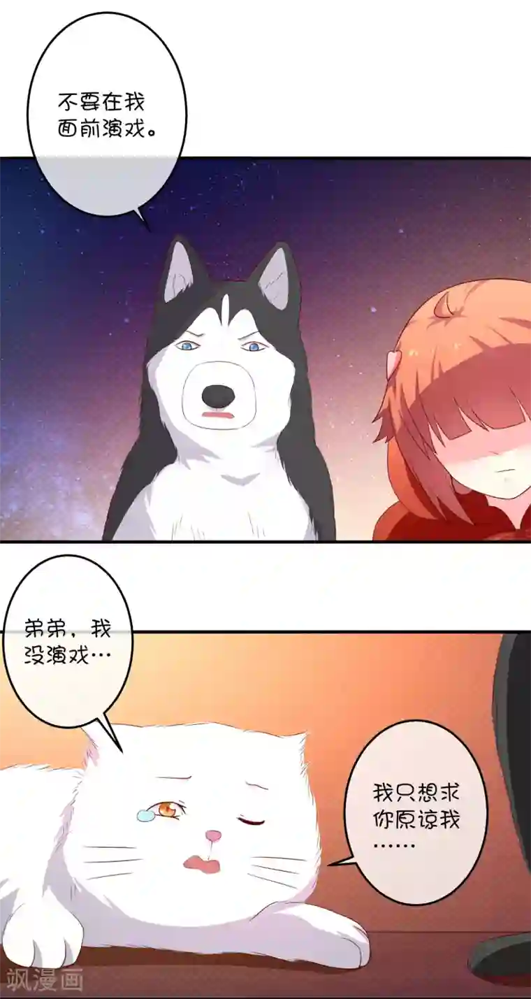 巫女的豪门生活第16话 猫狗再相逢