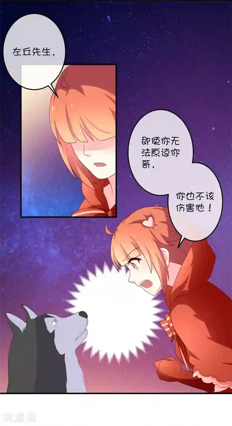 巫女的豪门生活第16话 猫狗再相逢