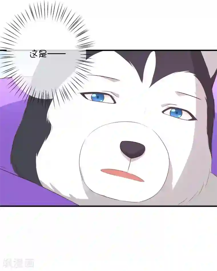 巫女的豪门生活第20话1 独闯大殿