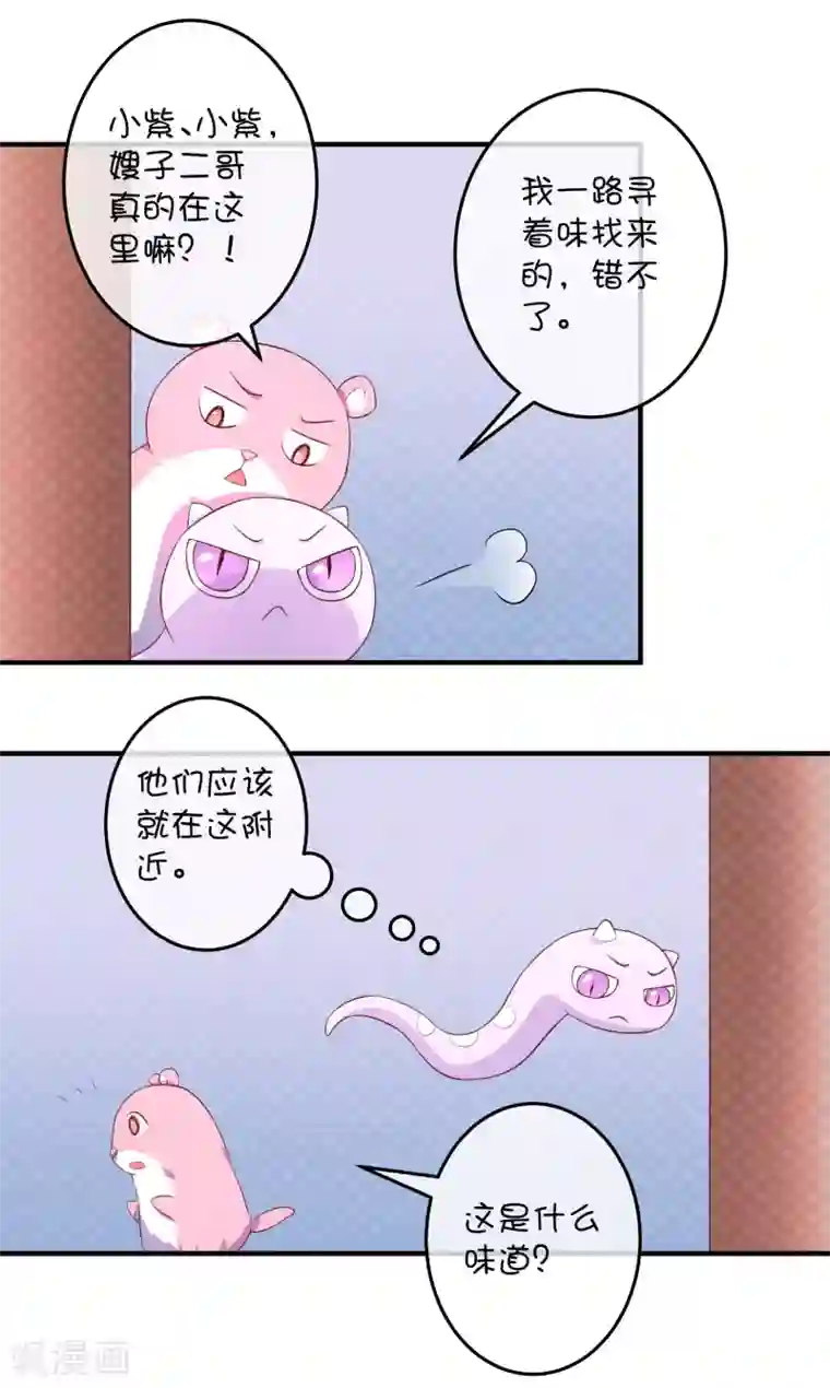 巫女的豪门生活第21话 石像与章鱼