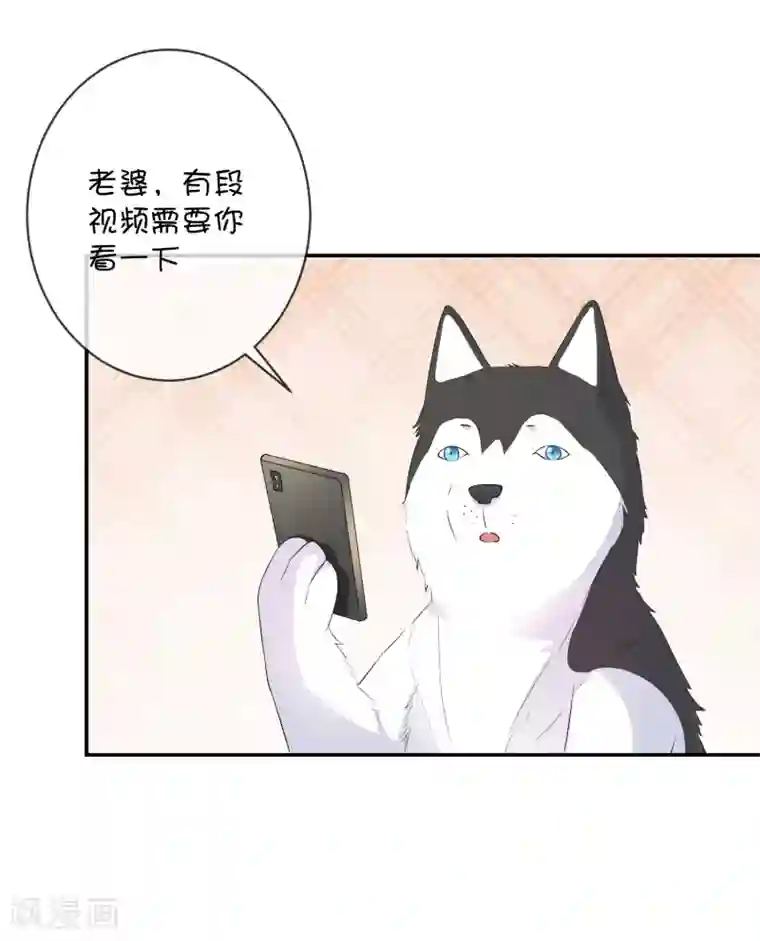 三眼哮天录蓝缡�孙悟空第30话 望星小镇灵异事件